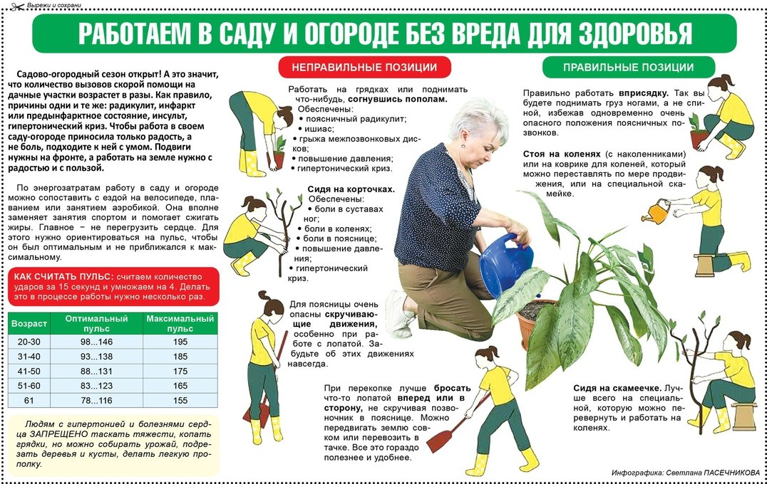 Садово-огородный сезон открыт!
