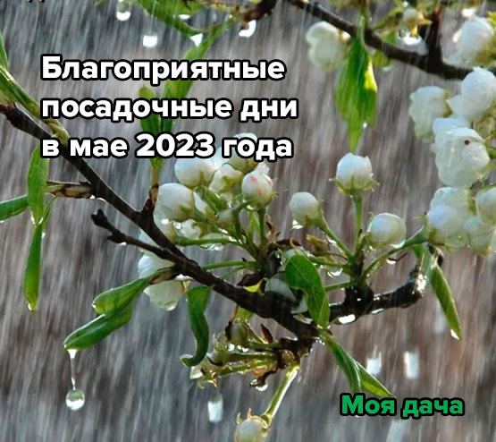 Благоприятные посадочные дни в мае 2023 года 👍 Последний месяц весны — долгожданное начало дачного сезона в средней п...