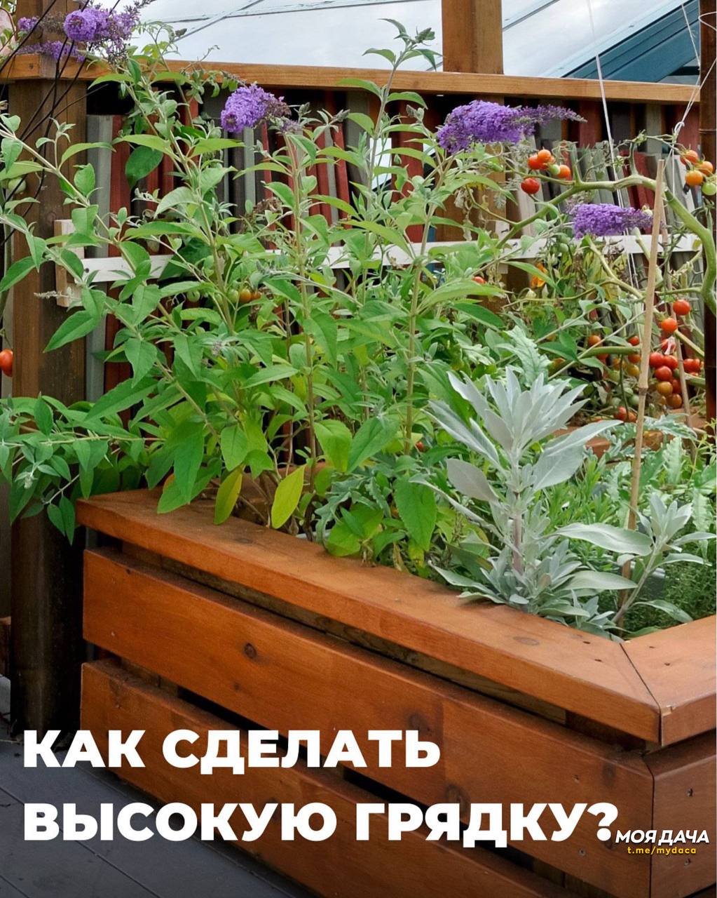 Как сделать высокую грядку 🙌