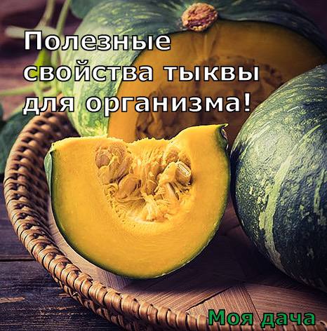 Полезные свойства тыквы для организма 🎃