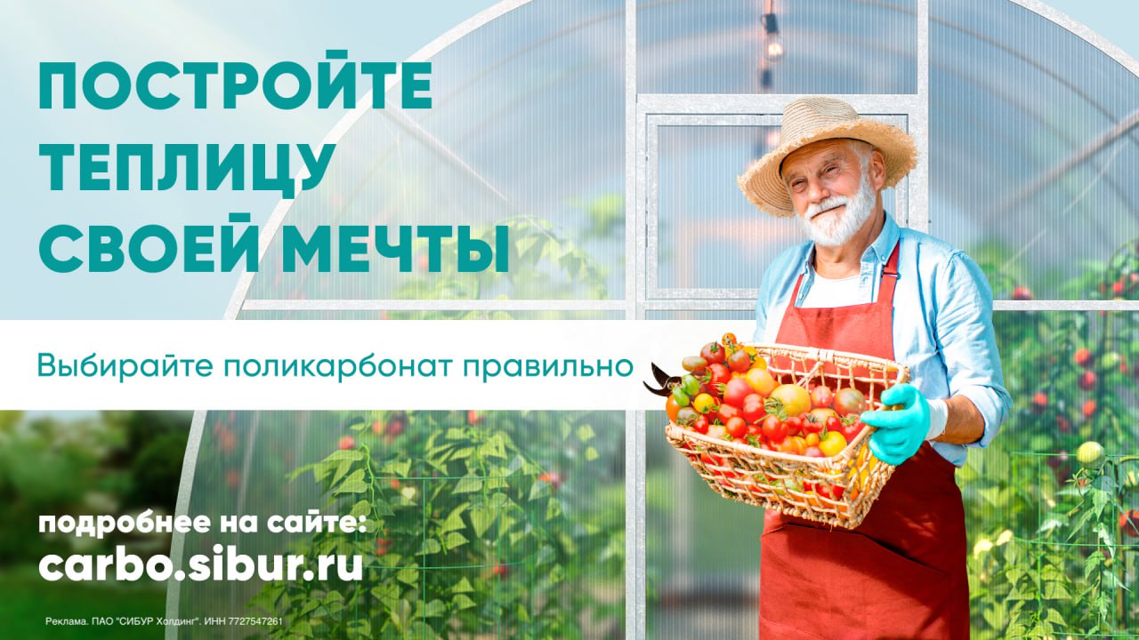 Приятно познакомиться, поликарбонат!