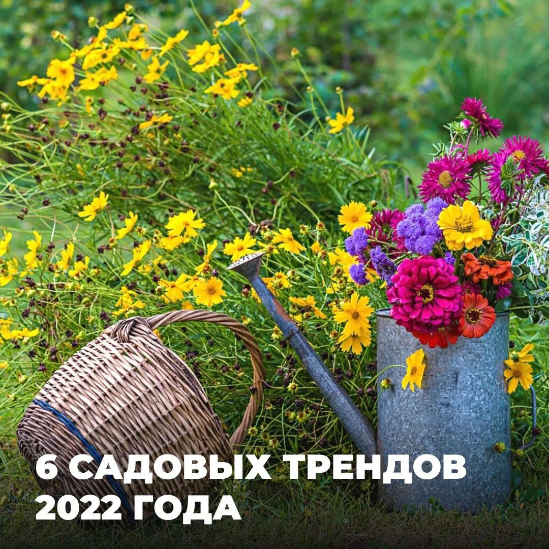 6 главных садовых трендов 2022 года