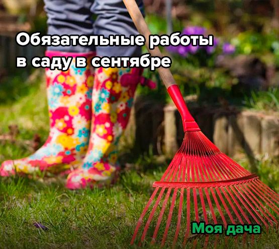 Обязательные работы в саду в сентябре